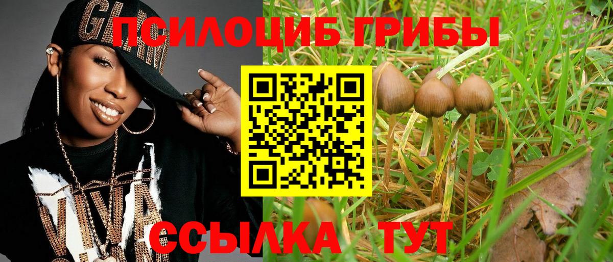 Галлюциногенные грибы Psilocybe Семёнов
