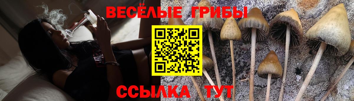 Семёнов  Псилоцибиновые грибы MAGIC MUSHROOMS  где найти   Галлюциногенные грибы Magic Shrooms  Вход с VPN 